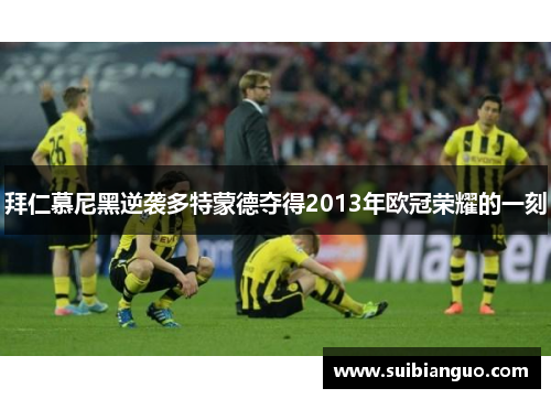 拜仁慕尼黑逆袭多特蒙德夺得2013年欧冠荣耀的一刻