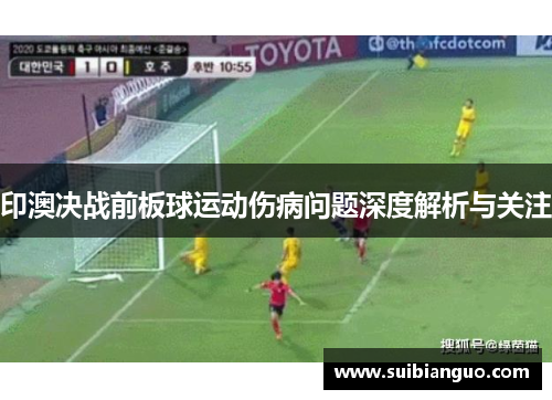印澳决战前板球运动伤病问题深度解析与关注
