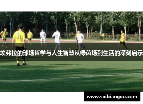 埃弗拉的球场哲学与人生智慧从绿茵场到生活的深刻启示